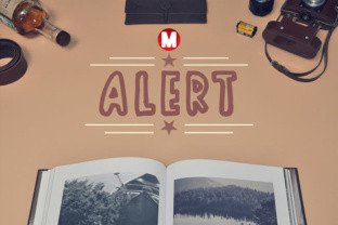 Alert: The Bold Display Font for Your Brand