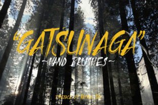 Gatsunaga Hand Brushes: A Designer's Real-World Review