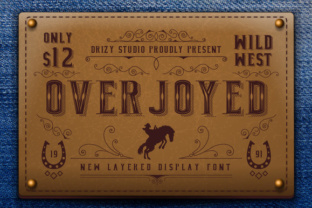 Overjoyed: A Cowboy-Inspired Display Font for Campaigns