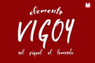 Vigoy: A Premium Display Font for Marketers